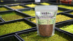 苔蘚專用土
