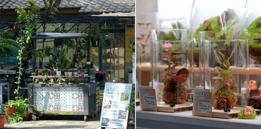 城市漫遊 × 藝術隨行：臺中新增9處寶藏亮點，在地人的藝文地圖大公開