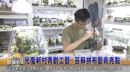 光復新村青創工藝 苔蘚拼布藝術亮點