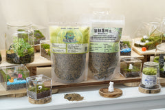 苔蘚專用土