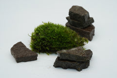 鐵平石