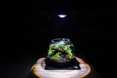 苔蘚育植燈 Pro｜Moss Nurture LIGHT PRO